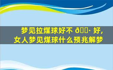 梦见拉煤球好不 🌷 好,女人梦见煤球什么预兆解梦